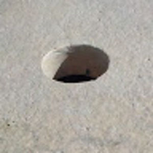 Meet your Posher, William